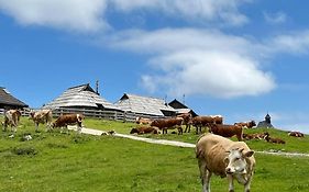 Chalet Korosica Velika Planina
